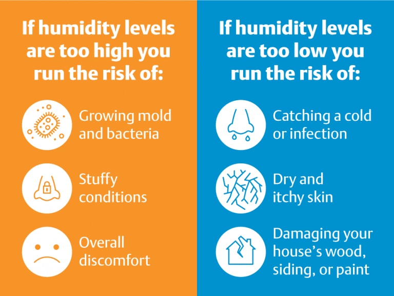 How to Lower Humidity in Your Home: Causes and Solutions