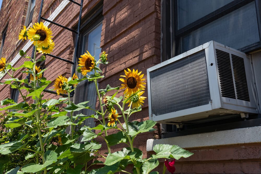 Window Air Conditioning Unit with Yellow Sunflowers