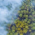 Panorama aerial wildfire is burning trees dry grass in the forest