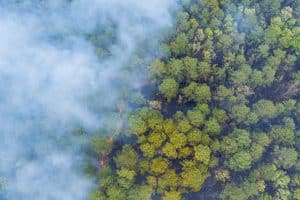 Panorama aerial wildfire is burning trees dry grass in the forest