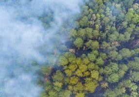 Panorama aerial wildfire is burning trees dry grass in the forest